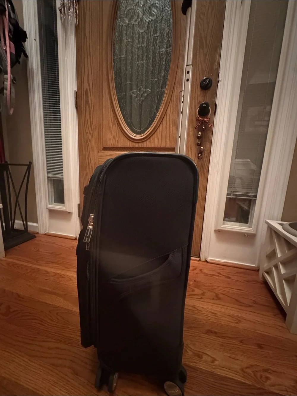 Ricardo Black Carry-On Spinner Suitcase